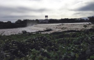 台風の入間川