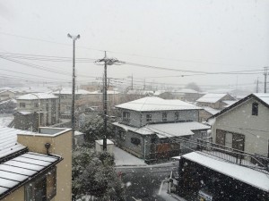 狭山市2014初積雪
