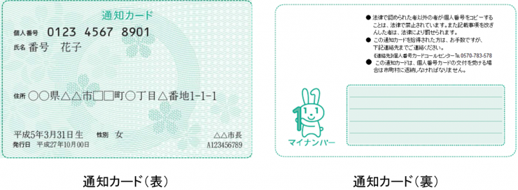 tuchi-card