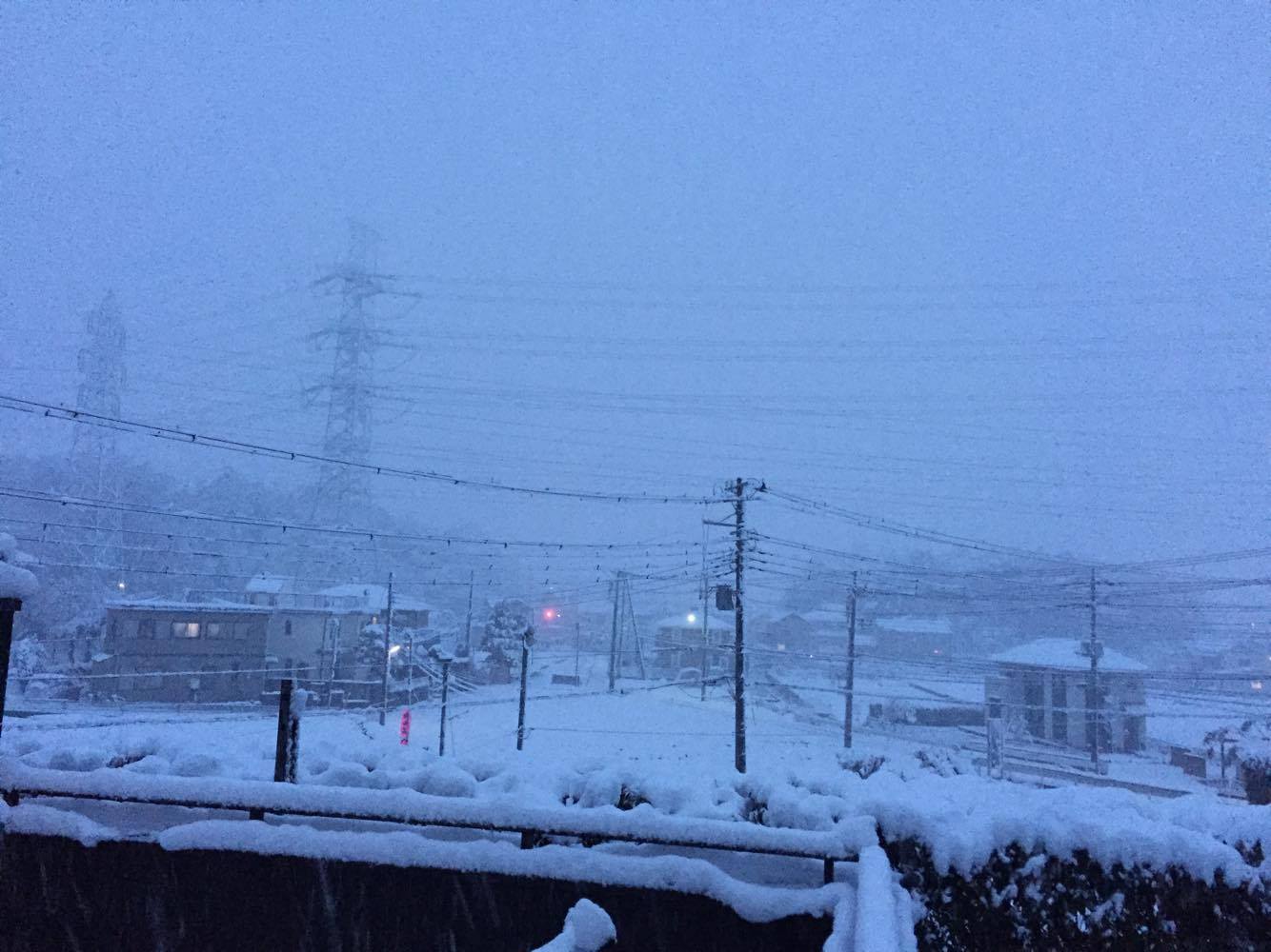 狭山市沢の雪２０１６　アイサヤマ
