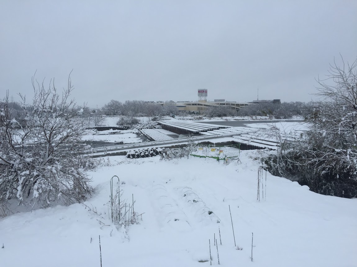 狭山市大雪2016年1月18日　アイサヤマ