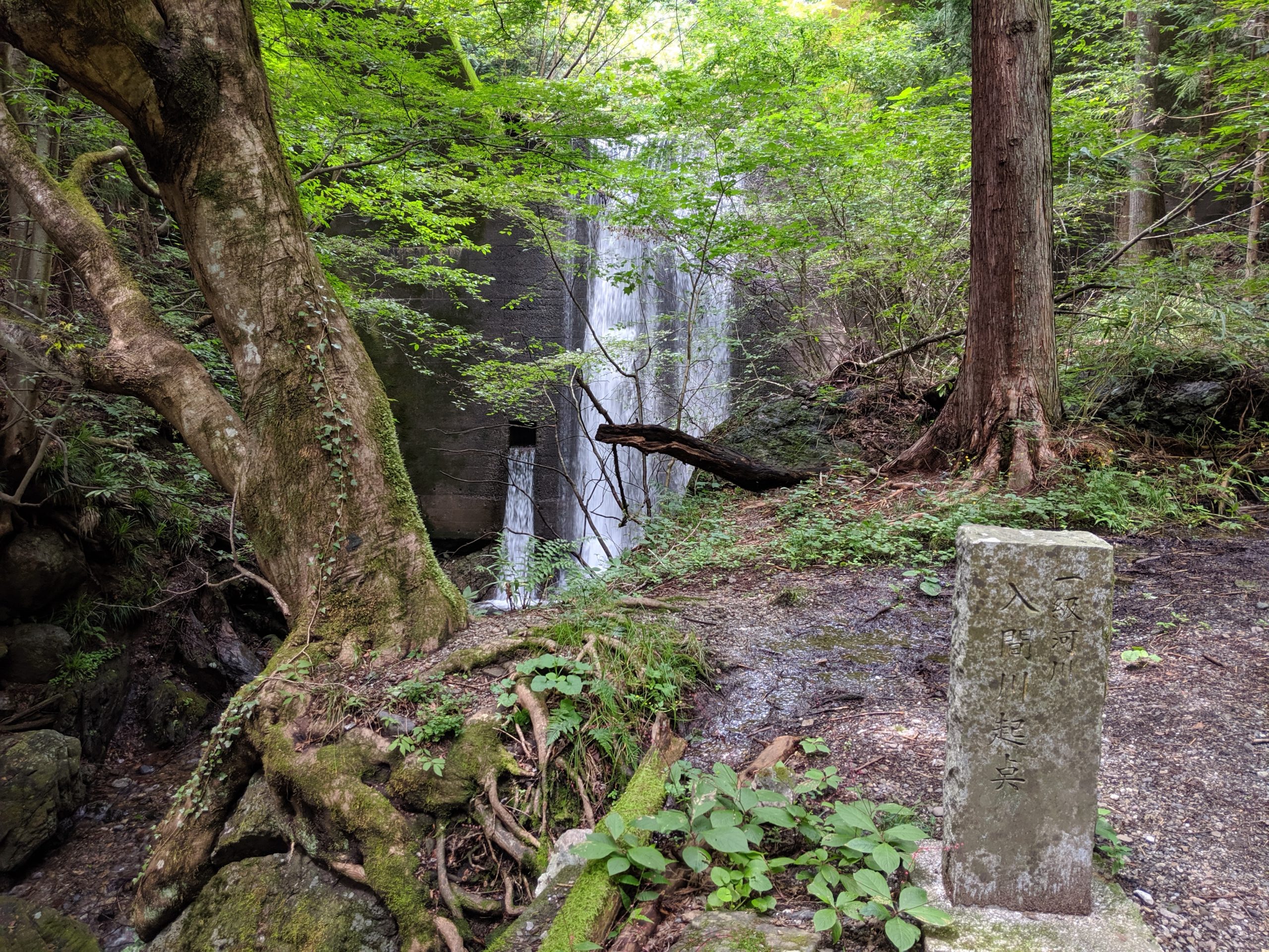 i-Sayama 入間川の起点