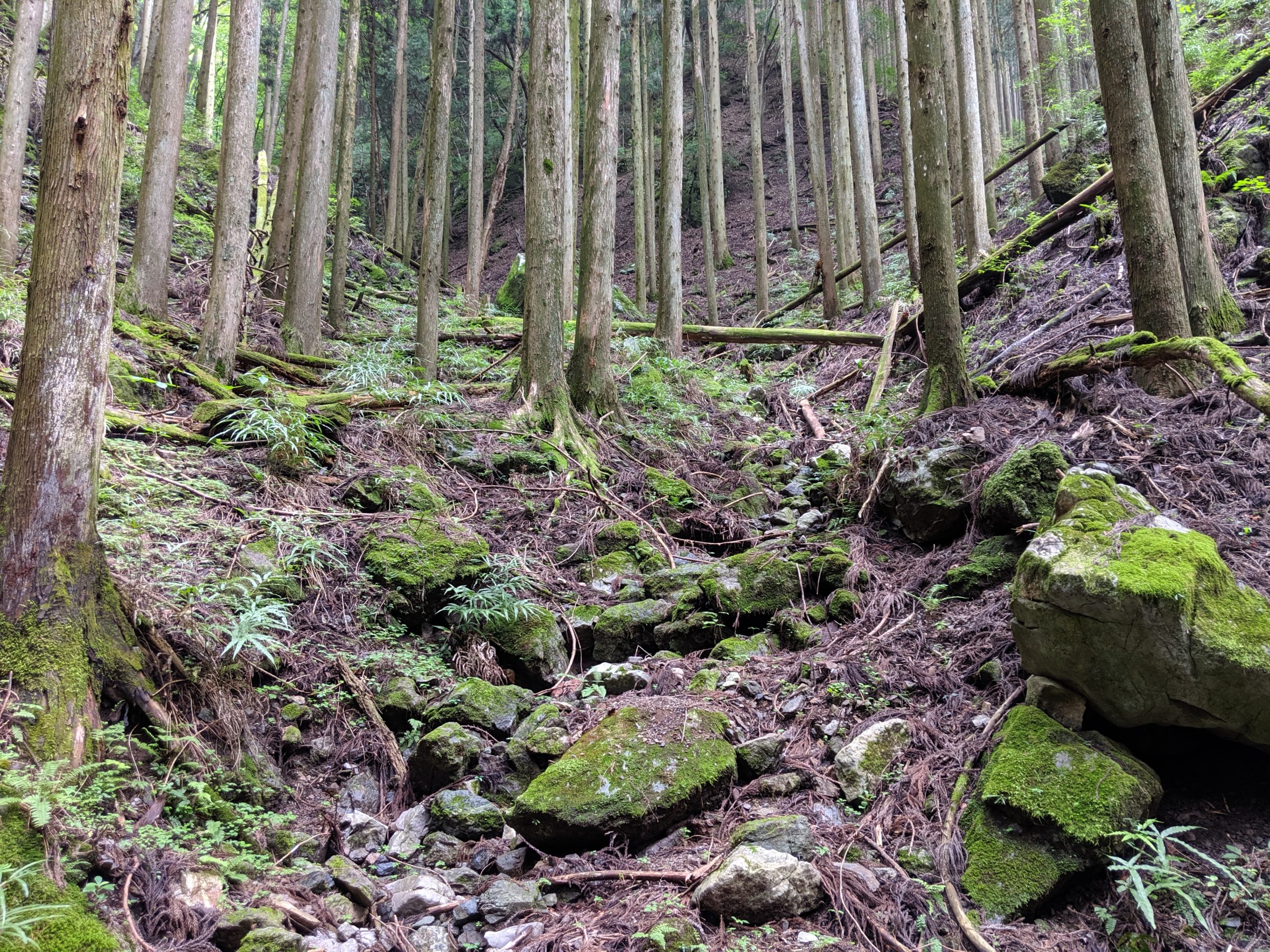 i-Sayama 入間川の源泉をたどる旅