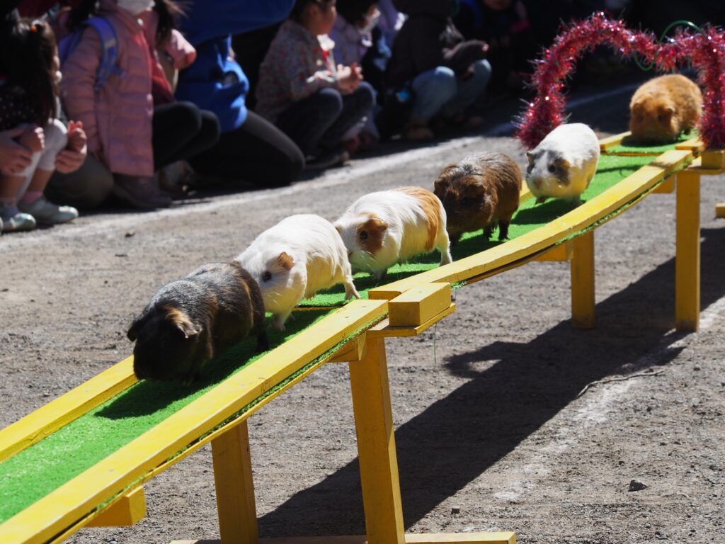 智光山公園こども動物園の入園料改定　新料金と適用時期は？